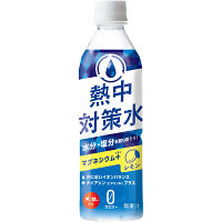 熱中対策水　レモン味　５００ｍｌ（２４本）