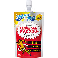 リポビタンアイススラリーＳｐｏｒｔｓ　ハニーレモン風味　１２０ｇ（３０個）